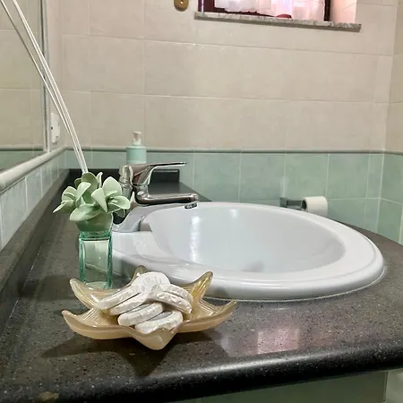 Frank 비코에쿠엔세